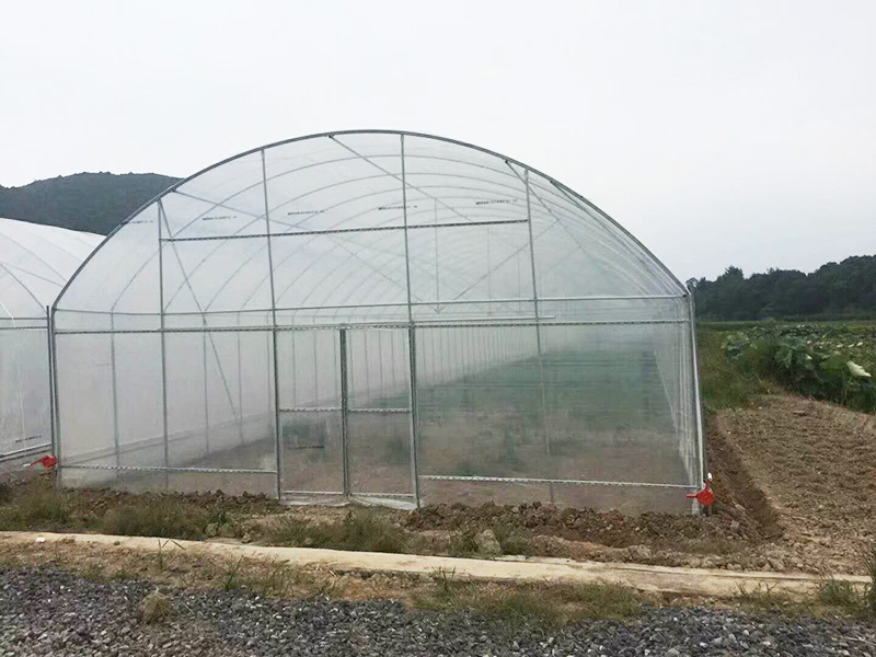 定西市薄膜大棚温室大棚 - 排名